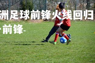 pg电子模拟器-亚洲足球前锋火线回归，助球队扭转颓势，当年的亚洲第一前锋